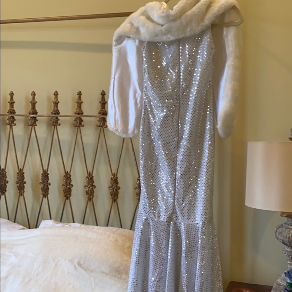 Costume - Picture 2 of 2